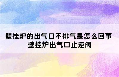 壁挂炉的出气口不排气是怎么回事 壁挂炉出气口止逆阀